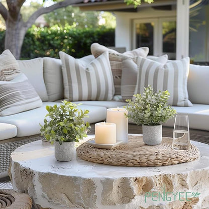 4 Pack Small Fake Plants in Farmhouse Concrete Planter | Artificial Plants Indoor, Home Decor, Bathroom Bedroom Shelf Desk Office Table Kitchen Room Decor