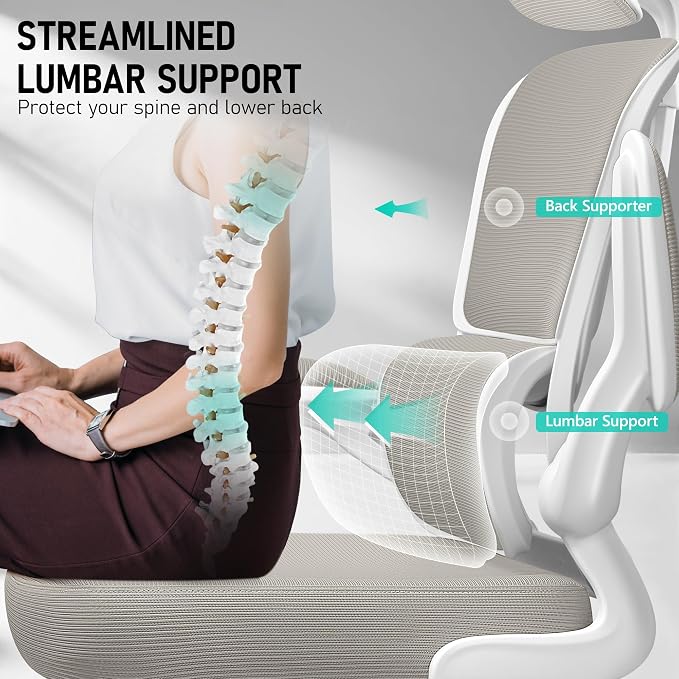 BESTFAIR High Back Ergonomic Office Chair, Breathable Mesh Desk Chair with Lumbar Support, Adjustable Headrest, Flip-up Armrests, Computer Gaming Chair, (LightGray)