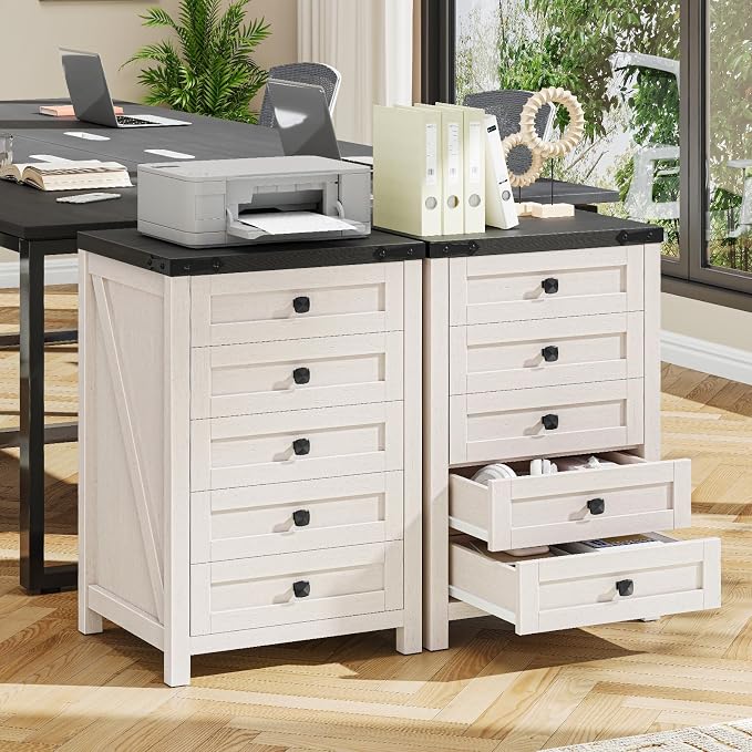 Halitaa 5 Drawer Storage Cabinet, Office Storage Cabinet with 5 Drawers, Small Farmhouse Printer Stand for Home Office, Rustic White and Black