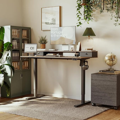 Agilestic 63 x 24 Inches Electric Standing Desk with 2 Storage Drawers, Stand Up Desk Adjustable Height, Sit and Stand Computer Table with Splice Board, Black