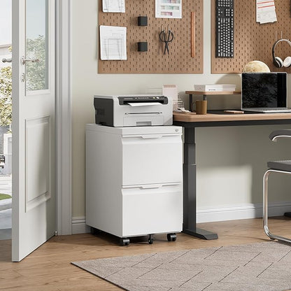 Bestoo Mobile File Cabinet with Lock, 2 Drawer Filing Cabinet, Under Desk Metal Rolling Filing Cabinets for Home Office, Fits Letter/Legal/A4 Size File, Easy Assembly