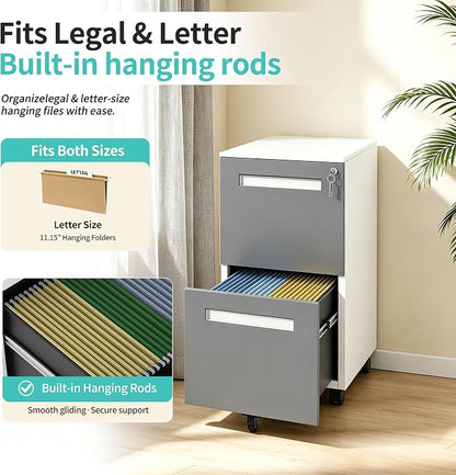 SAWJEC 2 Drawer File Cabinet with Lock, Fully Assembled Filing Cabinet Rolling Printer Stand Under Desk fits Legal/A4/Letter Size, Home Office Storage,18" D x 15" W x 27" H, Grey
