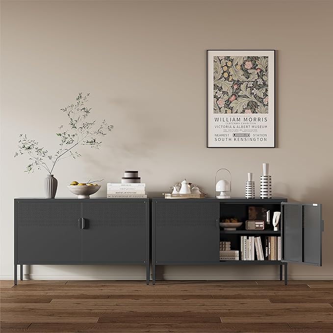 Metal Storage Cabinet,2 Door TV Stand, Metal Mesh Accent Cabinet,Magnetic Door Closure,Low Storage Cabinets with Doors and Shelf for Home,Office,Living Room