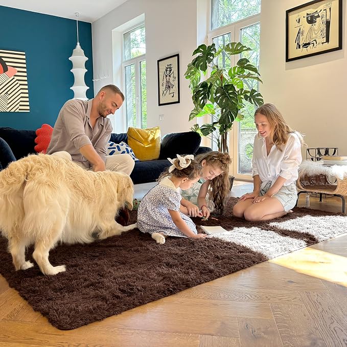 OLANLY 2x4 Machine Washable Runner Rugs for Hallway, Soft Fluffy Shaggy Bedside Rugs for Bedroom, Living Room, Indoor Floor Carpet for Kids Girls and Boys, Nursery Rooms, Home Decor Aesthetic, Coffee
