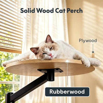FLEXISPOT EN2 55" x 28" Standing Desk with Solid Wood Cat Bed Bundle, 1" Thick Desktop, Desk-Mounted Cat Perch with Scratcher, White