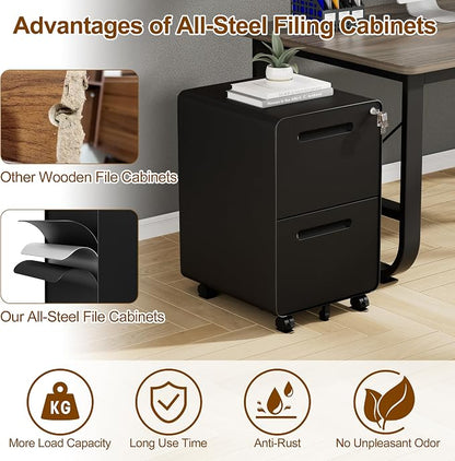 File Cabinet, Mobile Filing Cabinet with Lock, All Steel Structure Printer Stand, Fully Assembled Except Casters, Under Desk Storage for Home Office, 2 Drawers Document Organizer, Black