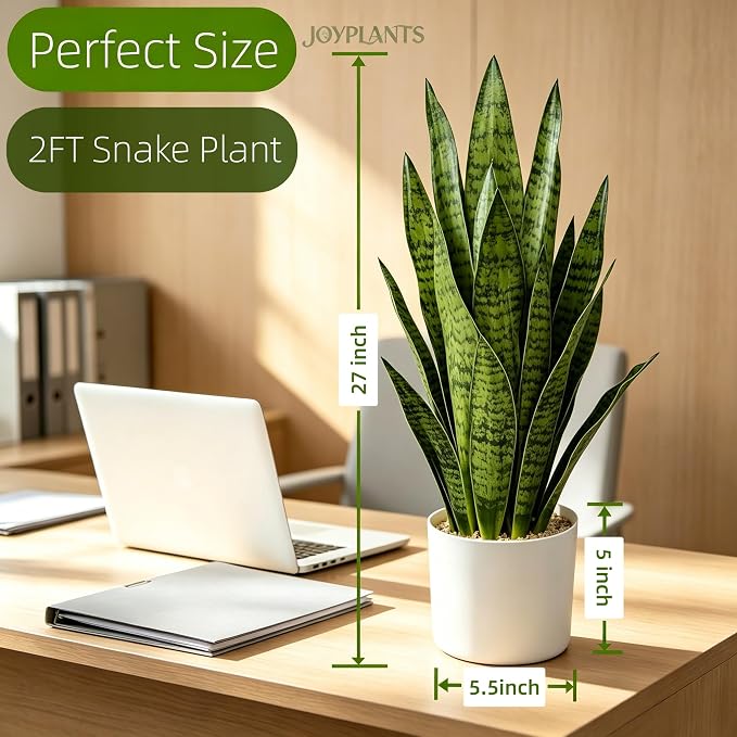 27" Artificial Snake Plant in White Pot, Realistic Faux Potted Plant for Home Office Decor, Low Maintenance Lifelike Silk Plant, Pet-Friendly Indoor Outdoor, No Watering Needed