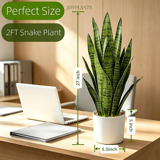 27" Artificial Snake Plant in White Pot, Realistic Faux Potted Plant for Home Office Decor, Low Maintenance Lifelike Silk Plant, Pet-Friendly Indoor Outdoor, No Watering Needed