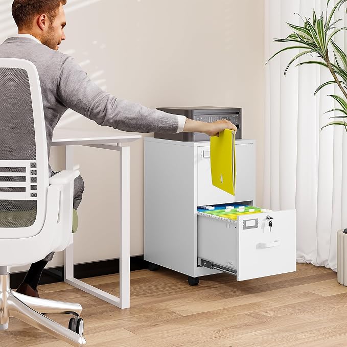 BYNSOE 2 Drawers File Cabinet with Lock Metal Vertical File Cabient with Wheels Mobile File Cabinet for Office Home Legal/Letter/a4 Size Require Assembly (White, 2 Drawers)
