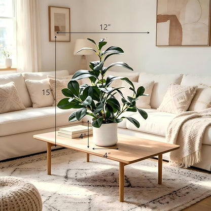 AlphaAcc 16 inch Artificial Indoor Plants Office Desk Faux Plant Peperomia Leaf Ficus Plant Realistic Small Fake Farmhouse Plants for Home Kitchen Bathroom Bedroom Evergreen Decor