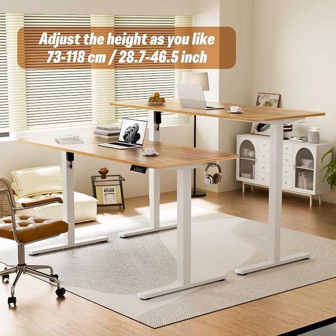 ERGOMAKER 55" Electric Standing Desk, Adjustable Height, Sit Stand Up Desk for Home Office & Computer Workstations, Memory Controller, Light Rustic Brown