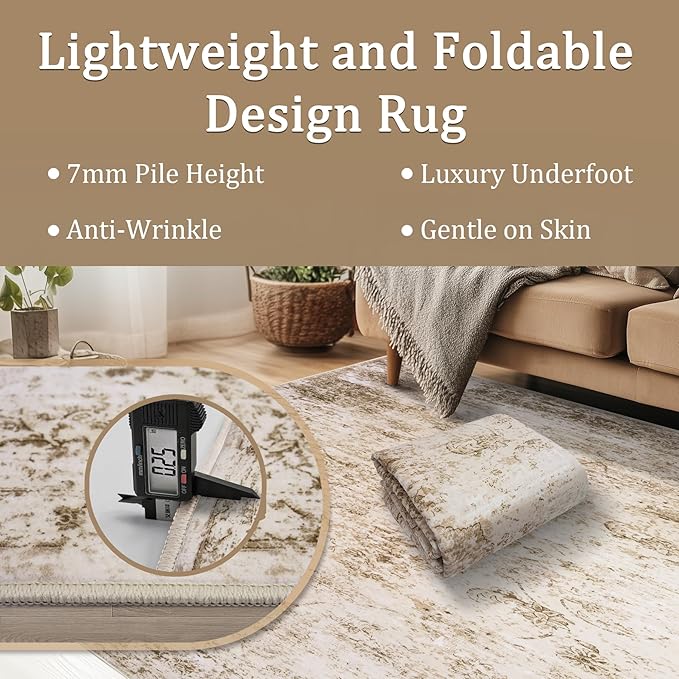 6x9 Area Rug Living Room Rugs - Washable Rug Large Modern Abstract Soft Thin Carpets Indoor Floor No Slip Vintage Carpet for Bedroom Under Dining Table Nursery Home Office Decor Beige