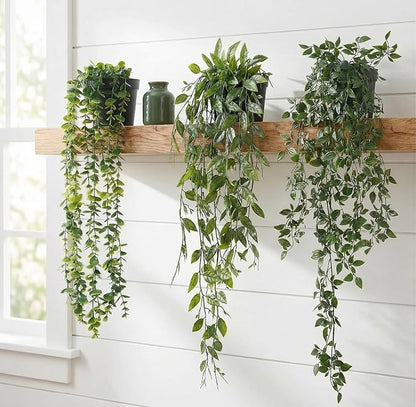 Artificial Potted Plants Set Eucalyptus Brugmansia Sweet Pea 3 Pack | Lifelike Leaves. UV-resistant, fade-proof for indoor/outdoor use. Perfect for home, office, patio & farmhouse decor.