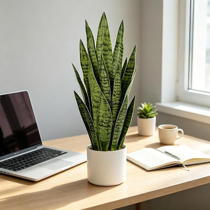 27" Artificial Snake Plant in White Pot, Realistic Faux Potted Plant for Home Office Decor, Low Maintenance Lifelike Silk Plant, Pet-Friendly Indoor Outdoor, No Watering Needed