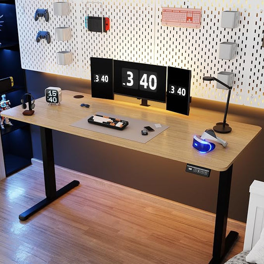 Shintenchi Standing Desk,55x24 Inch Height Adjustable Electric Sit Stand up Desk, Ergonomic Rising Computer Table, Modern Lift Gaming Desk Workstation for Home Office, White