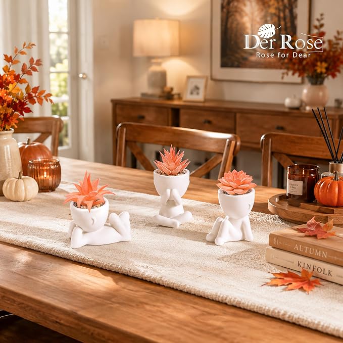 Der Rose Set of 3 Fall Artificial Succulent Plants, Small Fake Plants in Cute Pots, Autumn Room Decor for Bathroom, Bedroom, Office Desk, Shelf