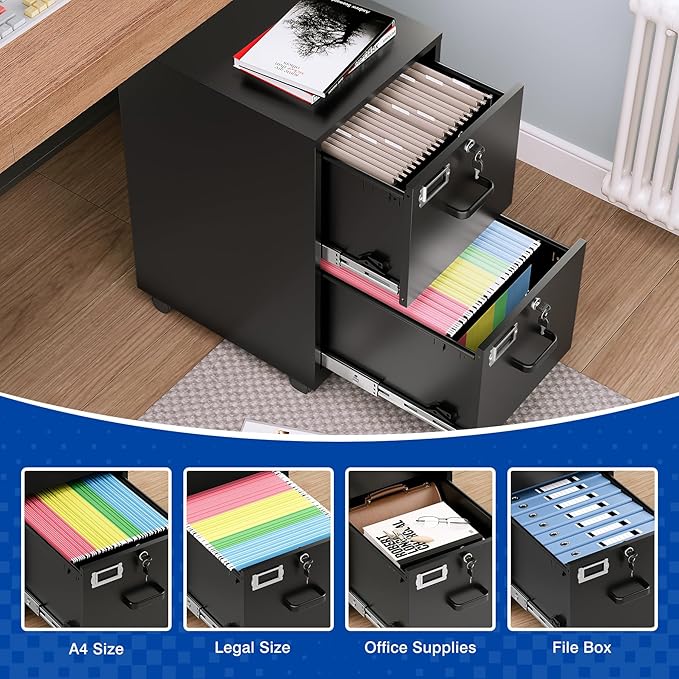 BYNSOE 2 Drawers File Cabinet with Lock Metal Vertical File Cabient with Wheels Mobile File Cabinet for Office Home Legal/Letter/a4 Size Require Assembly