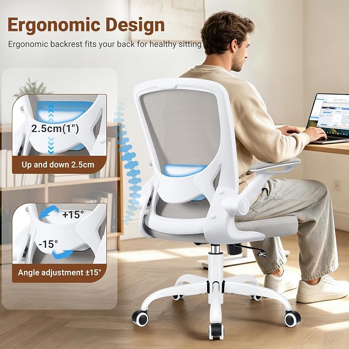 BESTFAIR Ergonomic Office Chair, Mesh Computer Chairs with Lumbar Support, Swivel Desk Chair with Flip-up Arms and Adjustable Height, Light Gray