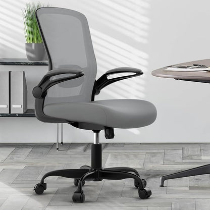 Mimoglad Home Office Desk Chair (Modern, Graphite)