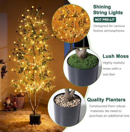 Olive Trees Artificial Indoor, 6FT Tall Faux Olive Tree with Moss and Planter, Artificial Plants Indoor with Realistic Silk Leaves and Lifelike Fruits, Fake Tree for Home Office Living Room Decor