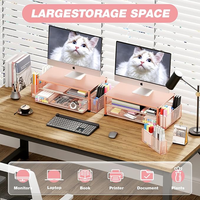 OPNICE Desk Organizers and Accessories, 2-Tier Computer Monitor Stand with Drawer and 2 Pen Holders, Laptop Stand, Office Desk Accessories for Office Supplies, Rose Gold