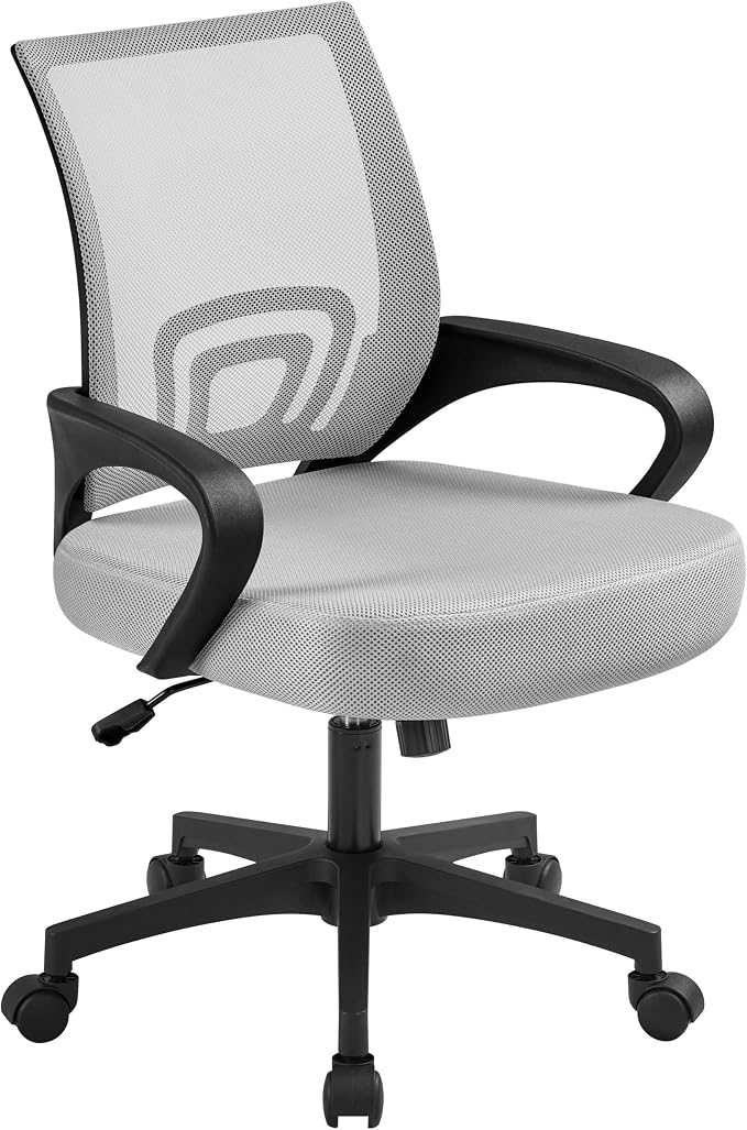 Topeakmart Executive Office Chair Computer Desk Chair for Home Office Student Study Conference Room, Grey