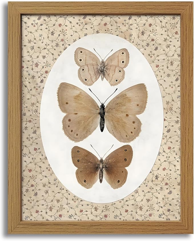 CXQILVER Vintage Framed Butterfly Canvas Wall Art,Natural Insect Illustration Prints Wall Decor, Antique Rustic Cottagecore Farmhouse Picture Painting Artwork for Bedroom Bathroom Living Room 16x24in