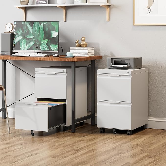 2 Drawer Metal Rolling File Cabinet with Lock, Under Desk Mobile Filing Cabinet for Home Office, Printer Stand with Casters Fits A4/Letter/Legal Size Documents, White