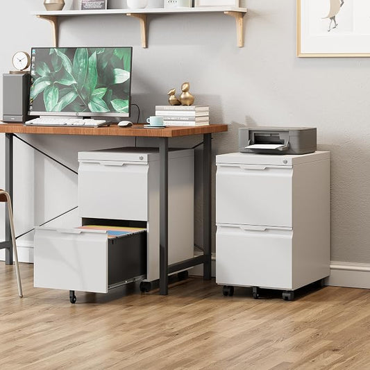 2 Drawer Metal Rolling File Cabinet with Lock, Under Desk Mobile Filing Cabinet for Home Office, Printer Stand with Casters Fits A4/Letter/Legal Size Documents, White