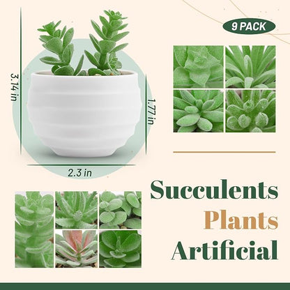Der Rose 9 Pack Fake Plants Small Realistic Succulents Plants Artificial for Home Room Decor Indoor