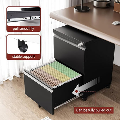 RAVIGIN 2 Drawer File Cabinet，Mobile Filing Cabinet with Lock and Wheels，Fully Assembled Metal Under Desk File Cabinets for A4/Letter/Legal Size（Black
