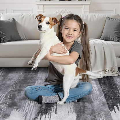Ciicool Modern Abstract Grey Black Rug for Living Room, 8'x10' Machine Washable Area Rug Non-Slip Rug, Low-Pile Contemporary Indoor Dining Floor Carpet for Bedroom Office Under Table Home Decor
