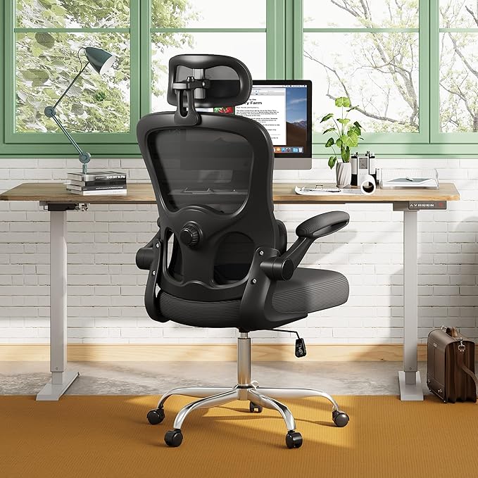 DEVAISE Ergonomic Mesh Desk Chair, Separated-Adjustable Lumbar Support，Large Cushion, Flip-up Armrests, 90-125° Rocking Tilt, for Home Office Computer Gaming, Black