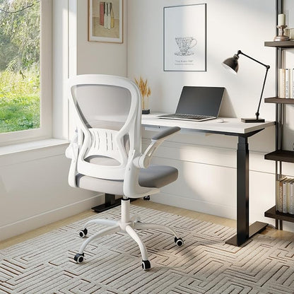 Youhauchair Office Chair, Ergonomic Home Office Desk Chairs with Flip-up Arms and Lumbar Support, Height Adjustable, Grey