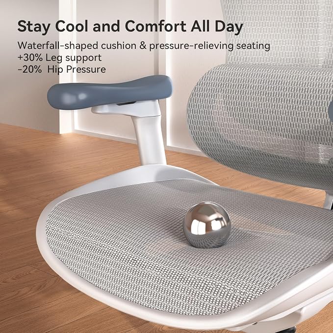 SIHOO Doro C300 Ergonomic Office Chair with Ultra Soft 3D Armrests, Dynamic Lumbar Support for Home Office Chair, Adjustable Backrest Desk Chair, Swivel Big and Tall Computer Chair 2 Packs (Grey)