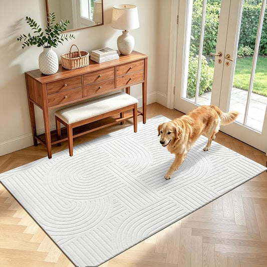 Pauwer 4x6 Washable Area Rugs for Living Room Modern White Solid Color Soft Fluffy Rugs for Bedroom Non Slip Boho Accent Indoor Mat Floor Carpet Cover for Kids Room Dining Room Kitchen Office