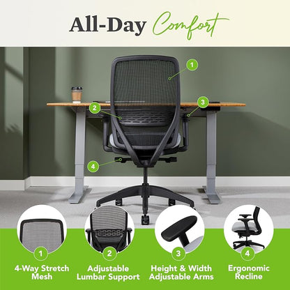 HON Nucleus Office Chair Ergonomic Desk Chair Suspended Seat Mesh Back for Home Office, Task Work - Synchro-Tilt Recline, Swivel Wheels, Adjustable Lumbar Support & Armrests, White Frame, Fawn
