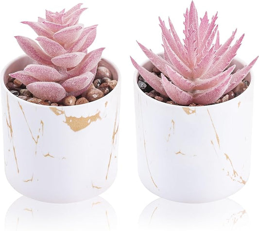 Der Rose Set of 2 Succulents Plants Artificial Mini Fake Succulents Plants for Office Desk Accessories for Women Pink Home Vanity Decor