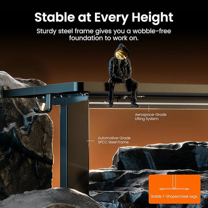 ErGear Height Adjustable Electric Standing Desk, 48 x 24 Inches Sit Stand up Desk, Memory Computer Home Office Desk, Black