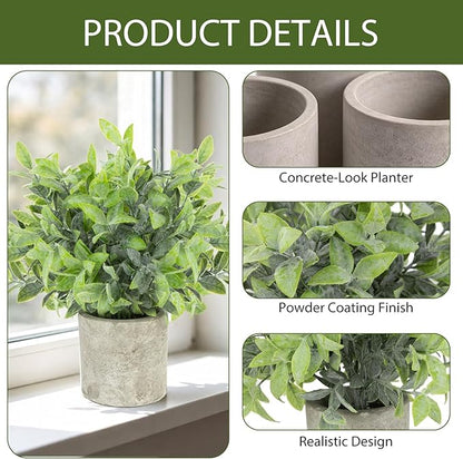 CCILAND 3 Pack Small Potted Fake Plants, Artificial Eucalyptus Plants, Lifelike Faux Frost-Hung Plants Topiaries for Home Office Shelf Desk Living Room Greenery Decor