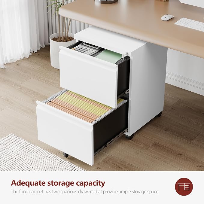 RAVIGIN 2 Drawer File Cabinet，Mobile Filing Cabinet with Lock and Wheels，Fully Assembled Metal Under Desk File Cabinets for A4/Letter/Legal Size（White