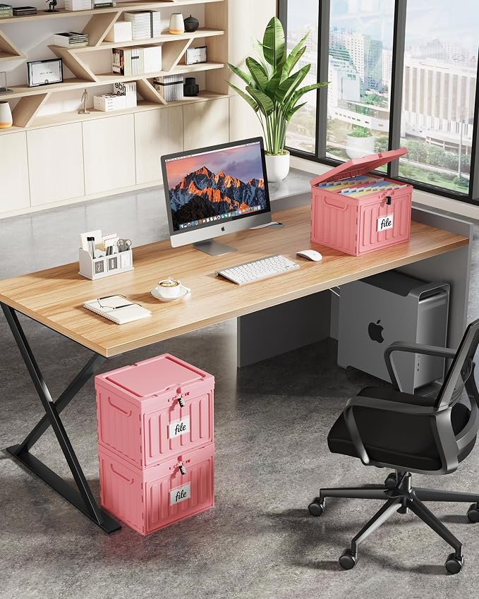Small File Cabinet, Plastic File Box with Lid for Letter Size Hanging File Folders, Easy Carry Filling Box for Home, Office, School, Vertical File Cabinets, Stackable Storage Bins(Pink,1 Pack)
