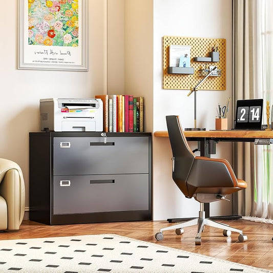 2 Drawer Locking Lateral File Cabinet, Wide&Deep Metal Filing Cabinet for Letter/Legal/A4/F4 Files, Includes Card Holder and Hanging Folders for Home Office, School, Business