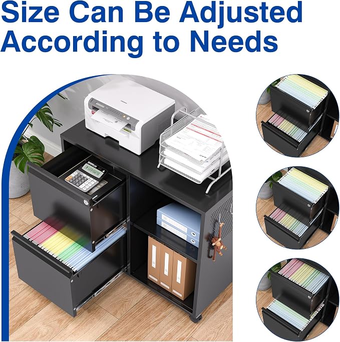 BYNSOE 2-Drawer File Cabinet Mobile Filing Cabinet with Lock Lateral File Cabinet Printer Stand with Open Storage Shelves for Home Office (Black, Left Drawer)