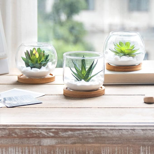 Mkono Artificial Succulent in Clear Glass Pot, 3 Mini Potted Fake Plants for Women Office Decor Small Faux Green Plant with BambooTray for Bookshelf Bathroom Kitchen Tabletop Centerpiece
