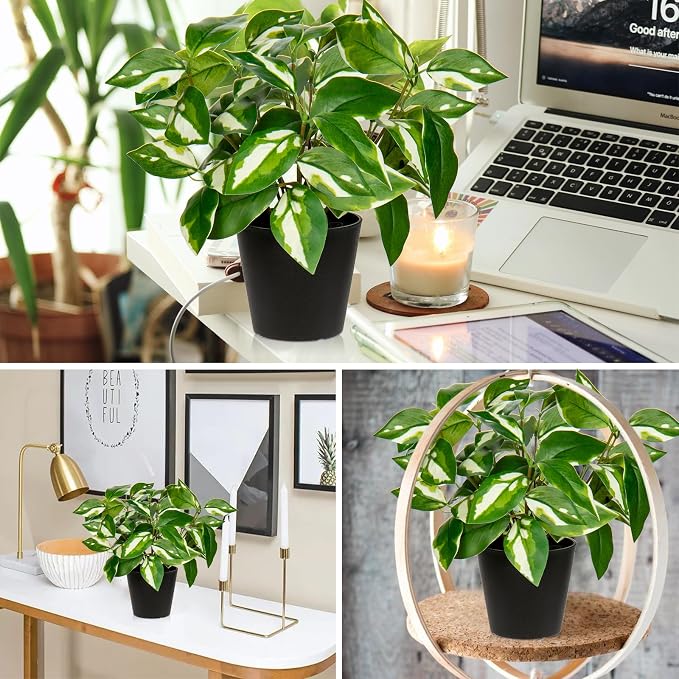 Oairse Artificial Plants Indoor Small Fake Plants in Pots Faux Pothos N‘ Joy Potted Plant Fake Indoor Plants with Black Pots for Bathroom Living Room Office Desk Shelves