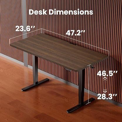 ErGear Height Adjustable Electric Standing Desk, 48 x 24 Inches Sit Stand up Desk, Memory Computer Home Office Desk, Dark Walnut
