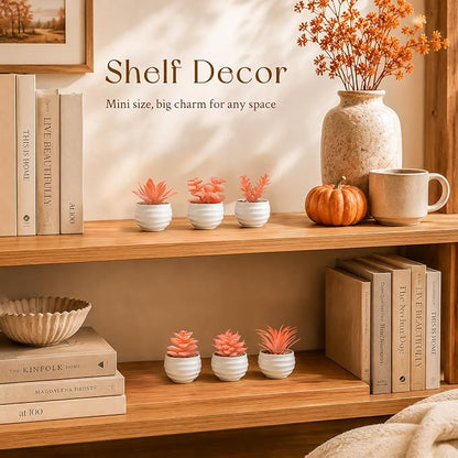 Der Rose Set of 6 Fall Succulents Plants Artificial Small Fake Plants for Autumn Bedroom Living Room Office Shelf Bathroom Decor