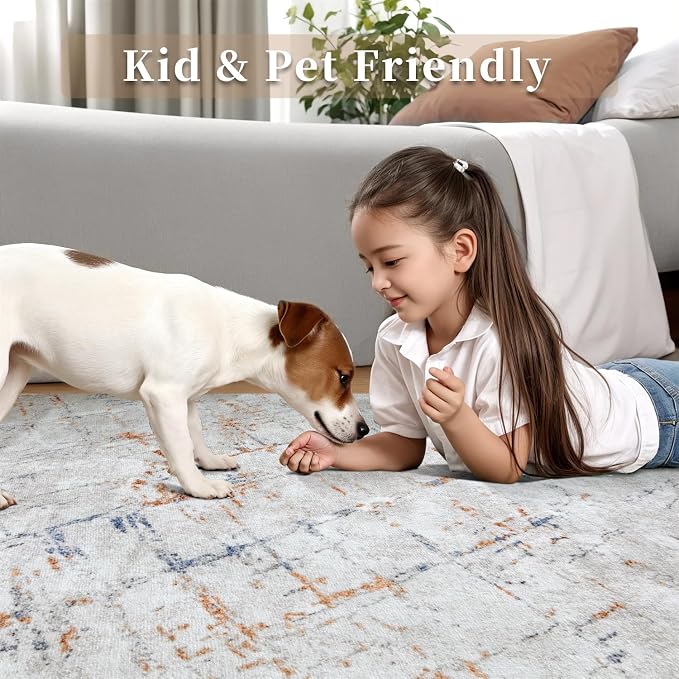 Ciicool Modern Abstract Gray Rug for Living Room, 8'x10' Machine Washable Soft Area Rug Non-Slip Rug, Low-Pile Contemporary Indoor Dining Floor Carpet for Bedroom Office Under Table Home Decor
