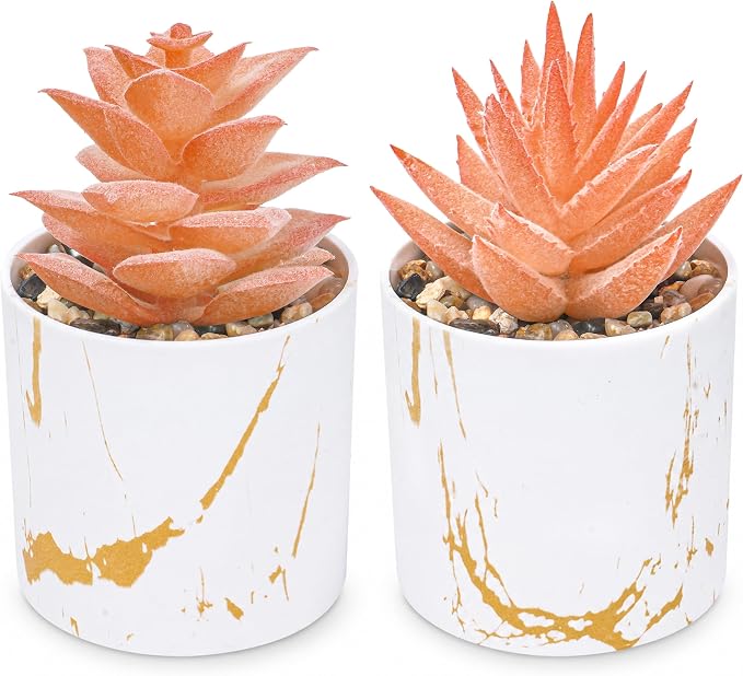 Der Rose Set of 2 Fall Artificial Succulent Plants, Mini Fake Succulents, Fall Decorations for Office Desk Bathroom Shelf Bedroom, Thanksgiving Decor